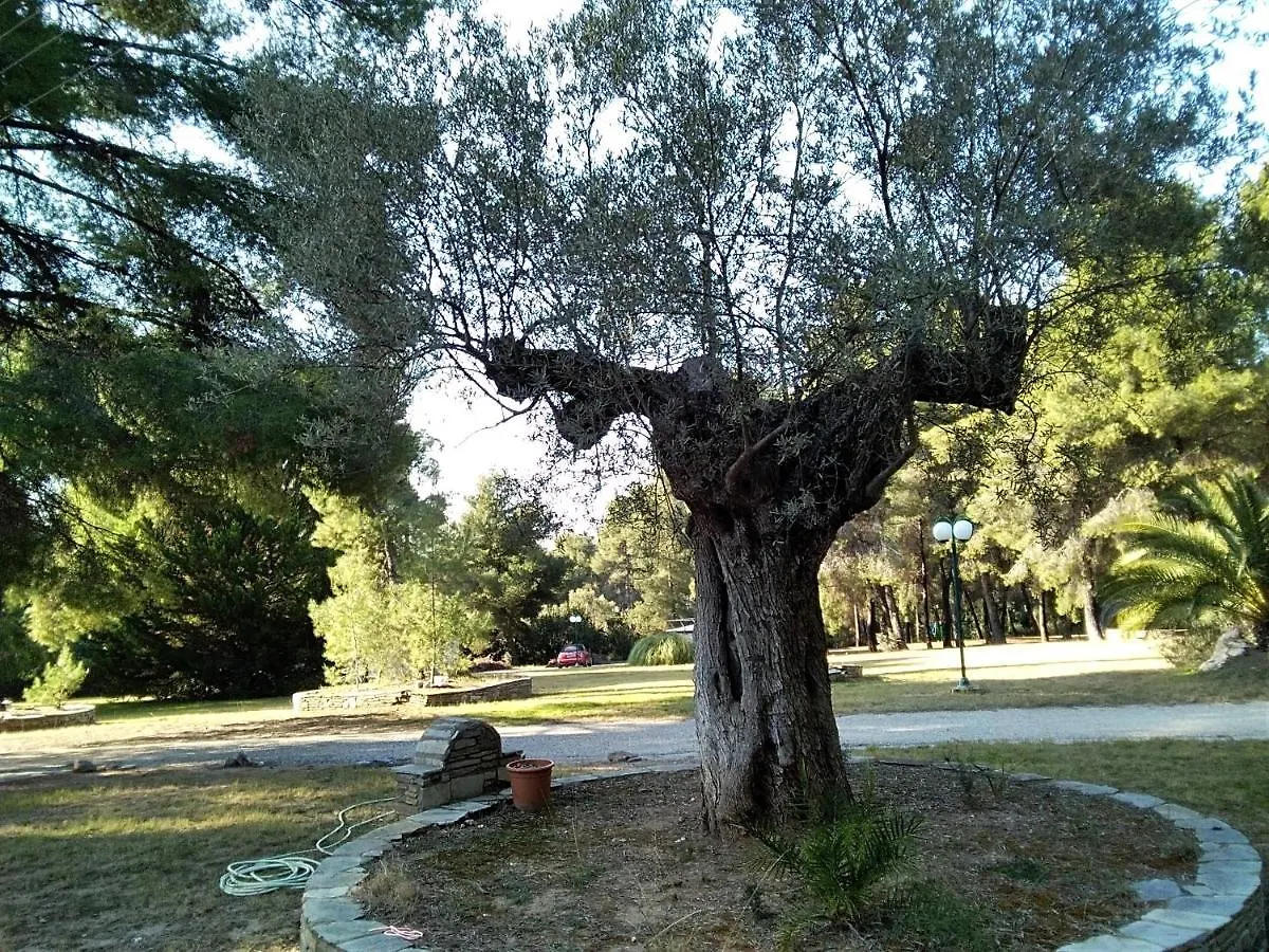 Skiourakia Metamorfosi  Metamorfosi (Sithonia)