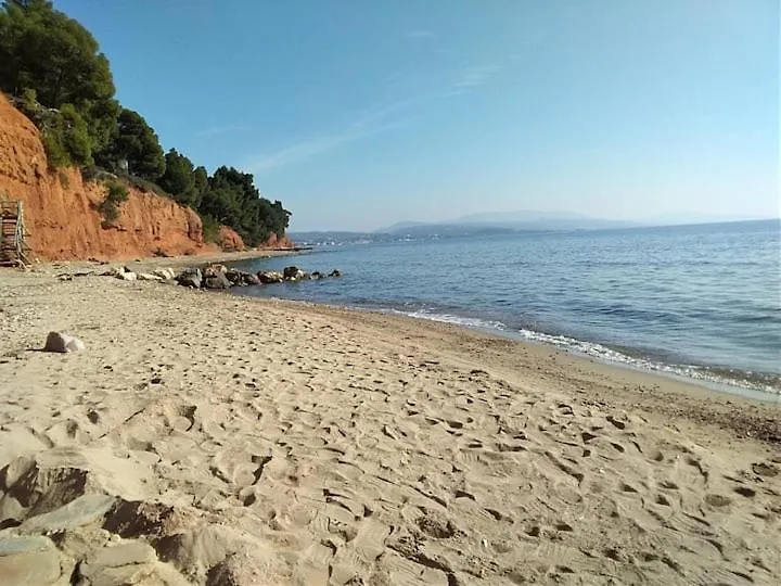 Skiourakia Metamorfosi