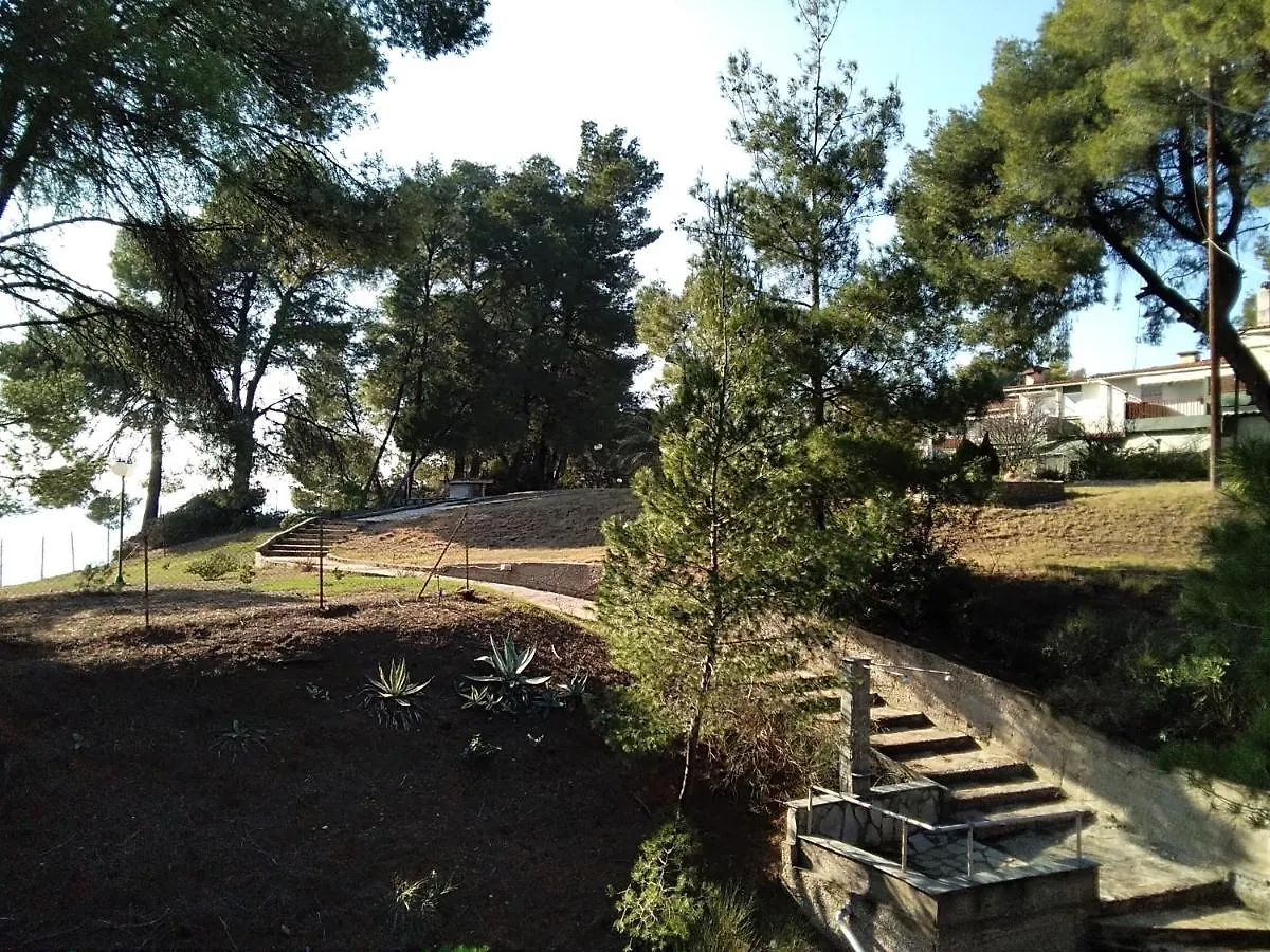 Skiourakia Metamorfosi  Apartment Metamorfosi (Sithonia)